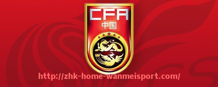 完美体育官方网站-世俱杯比赛用球设计趋势预测：国际赛事球具美学与性能融合