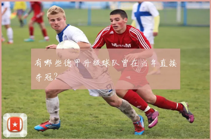 有哪些德甲升级球队曾在当年直接夺冠？