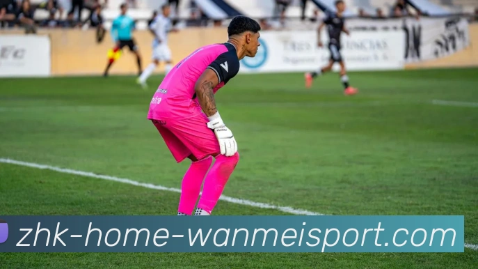 App Interface Preview